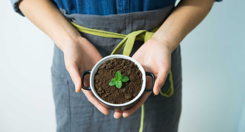 3 Ways to Make Your Office Lunch More Eco-Friendly