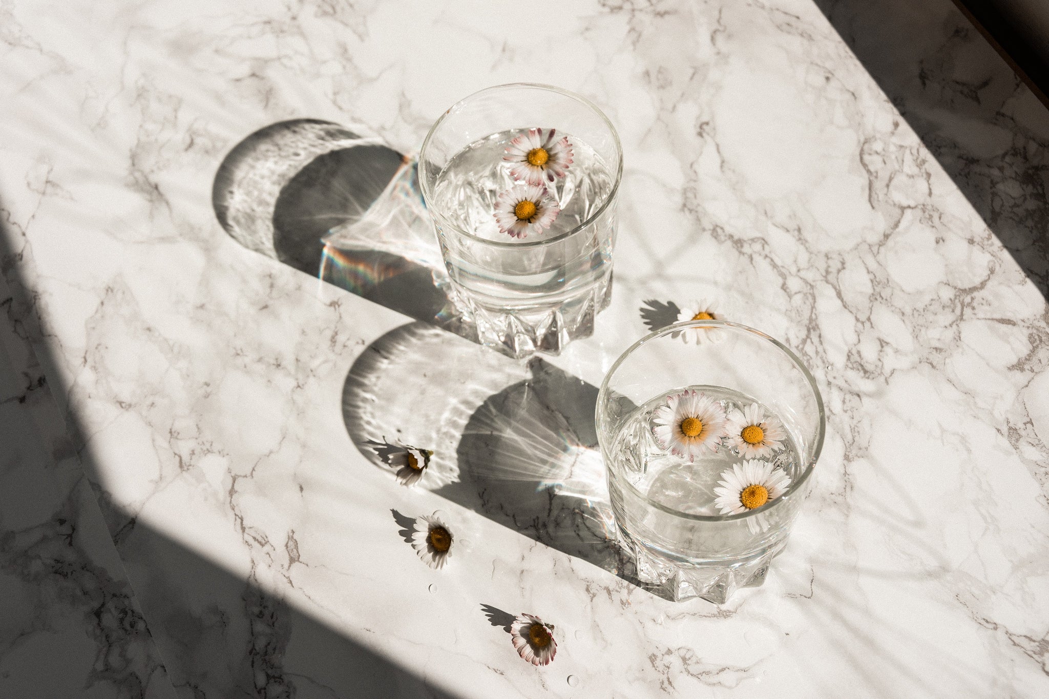 3 Reasons Why Adaptogen Drink Is Now a Trend