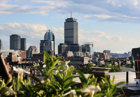 5 Ideas to Help Enjoy Your Weekend in Boston
