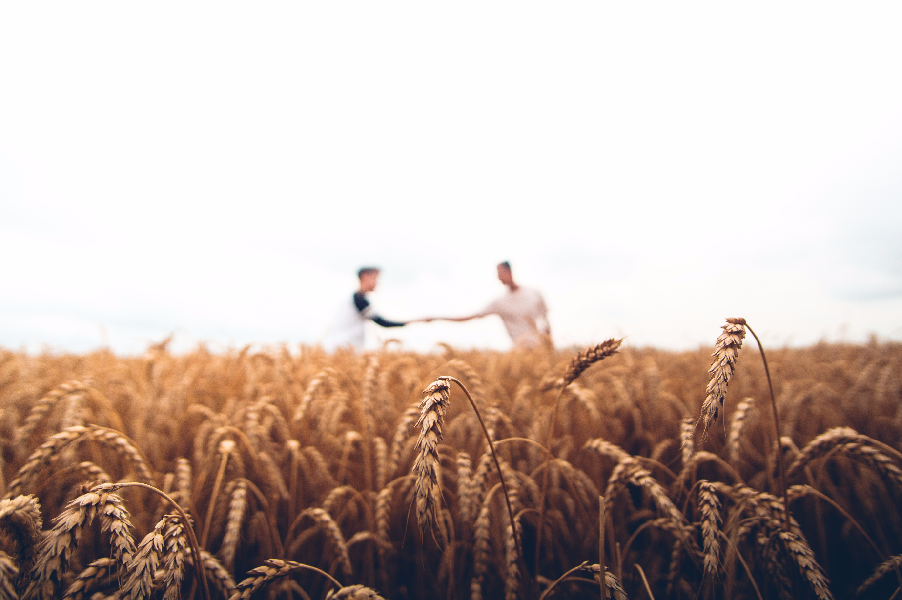 5 Reasons Why Farm-to-Table is a Trend