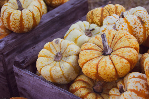 5 Fall Ingredients to Help You Combat Weather Change Sickness