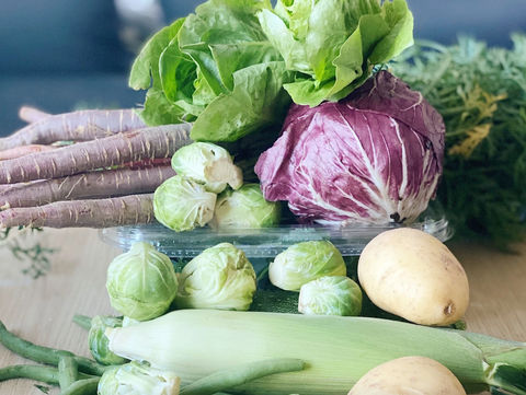 Recommended Recipes for Farm Fresh Basket (Week of July 11)