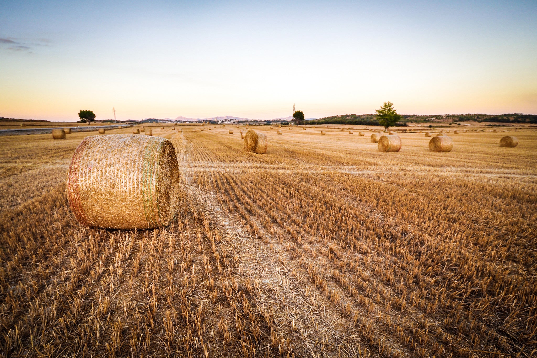 The Economics of Farm-to-Table