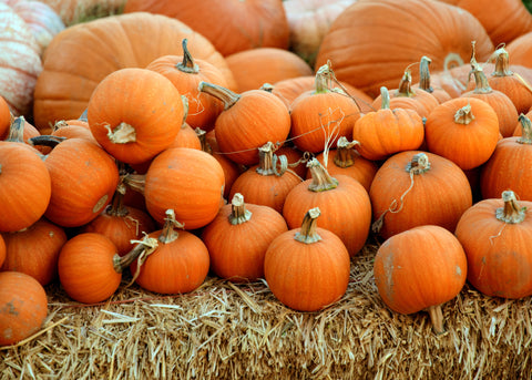 Pump Up Your Beauty Routine With Pumpkin