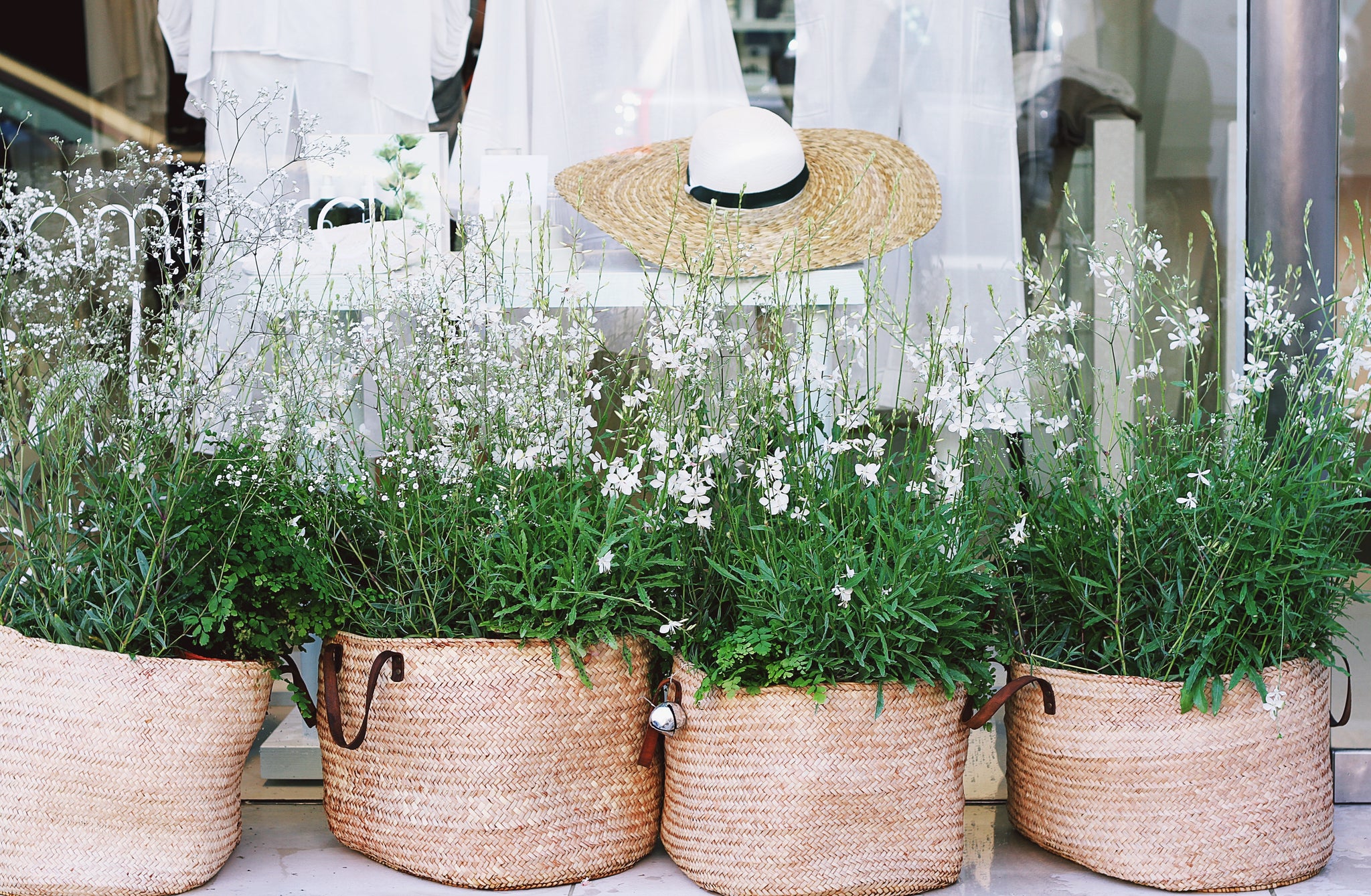5 Things to Do in Boston During Springtime