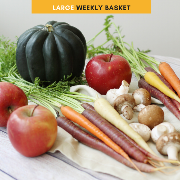 Large Weekly Basket